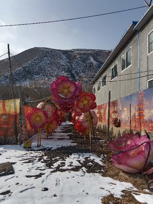 微信图片_20250107152007.jpg