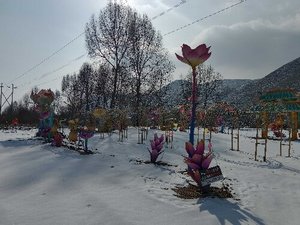 微信图片_20250107151809_new1.jpg