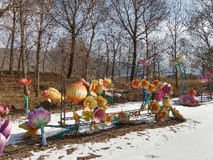 微信图片_20250107151815_new1.jpg